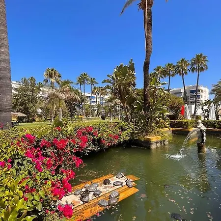 Costalago * توريمولينوس