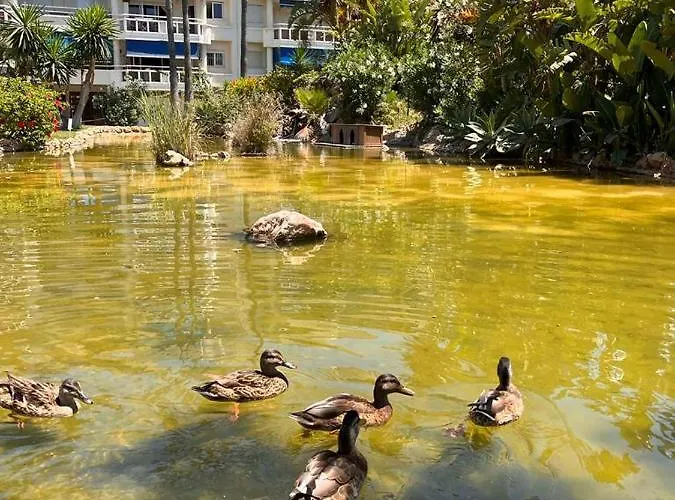 Costalago Apartment *